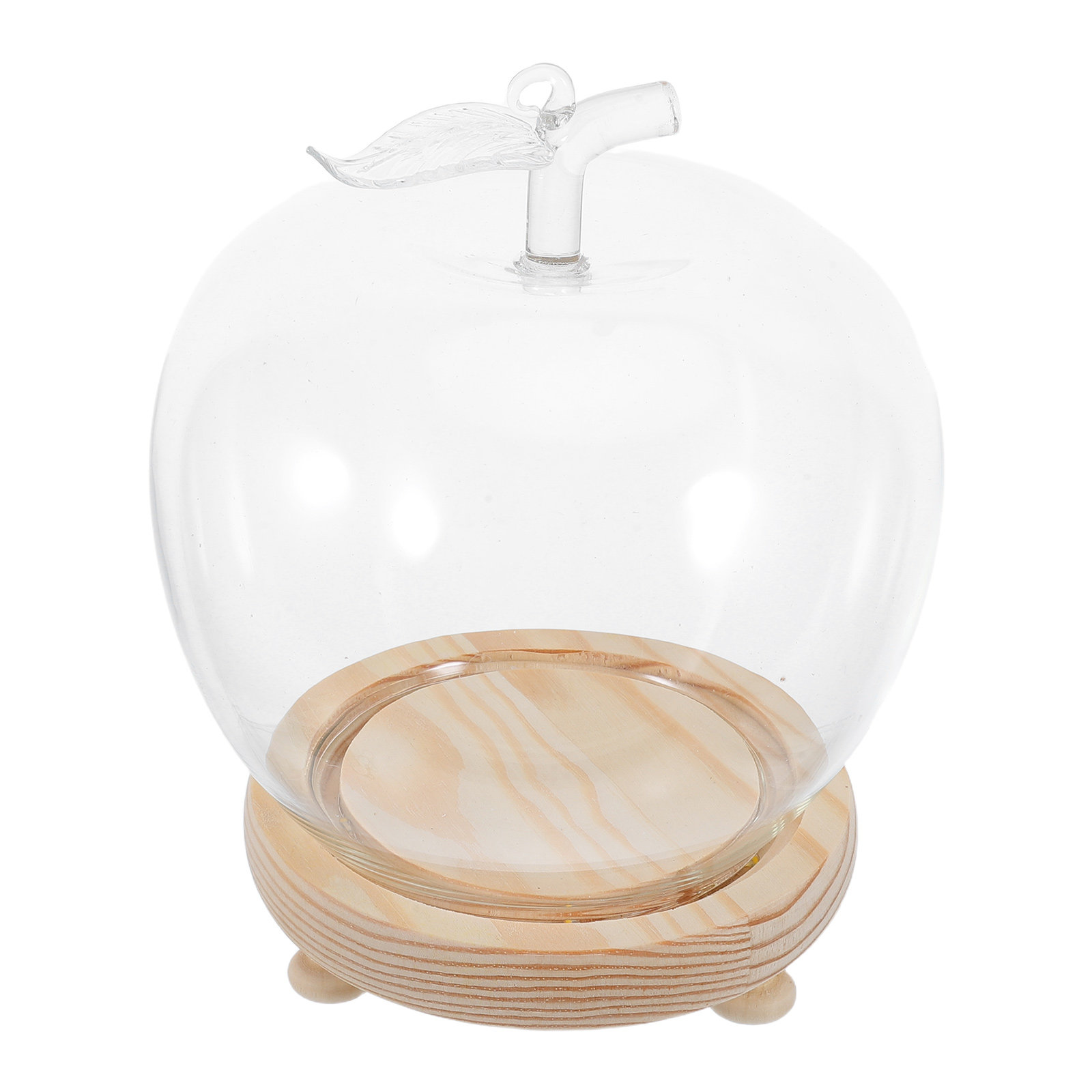 1Set Glass Dome Cloche Shaped  - Plastic Dome Clear review and price