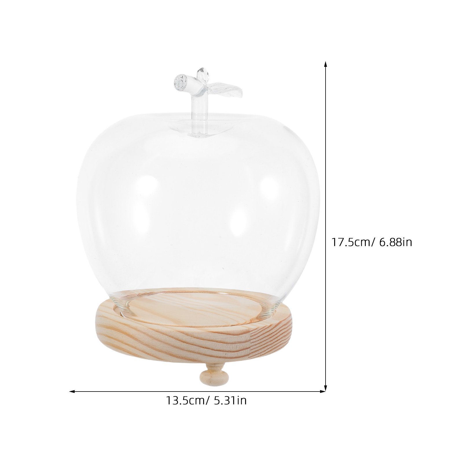 1Set Glass Dome Cloche Shaped  - Plastic Dome Clear review and price