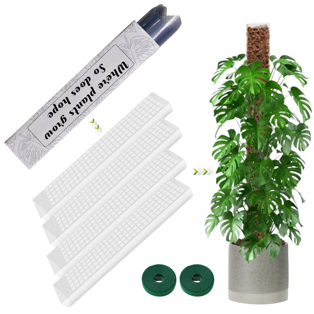 Moss Pole Plastic Plant Stand  - Sphagnum Moss Dry review and price
