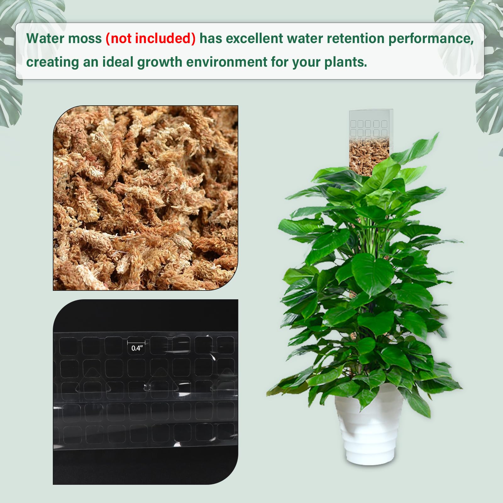 Moss Pole Plastic Plant Stand  - Sphagnum Moss Dry review and price