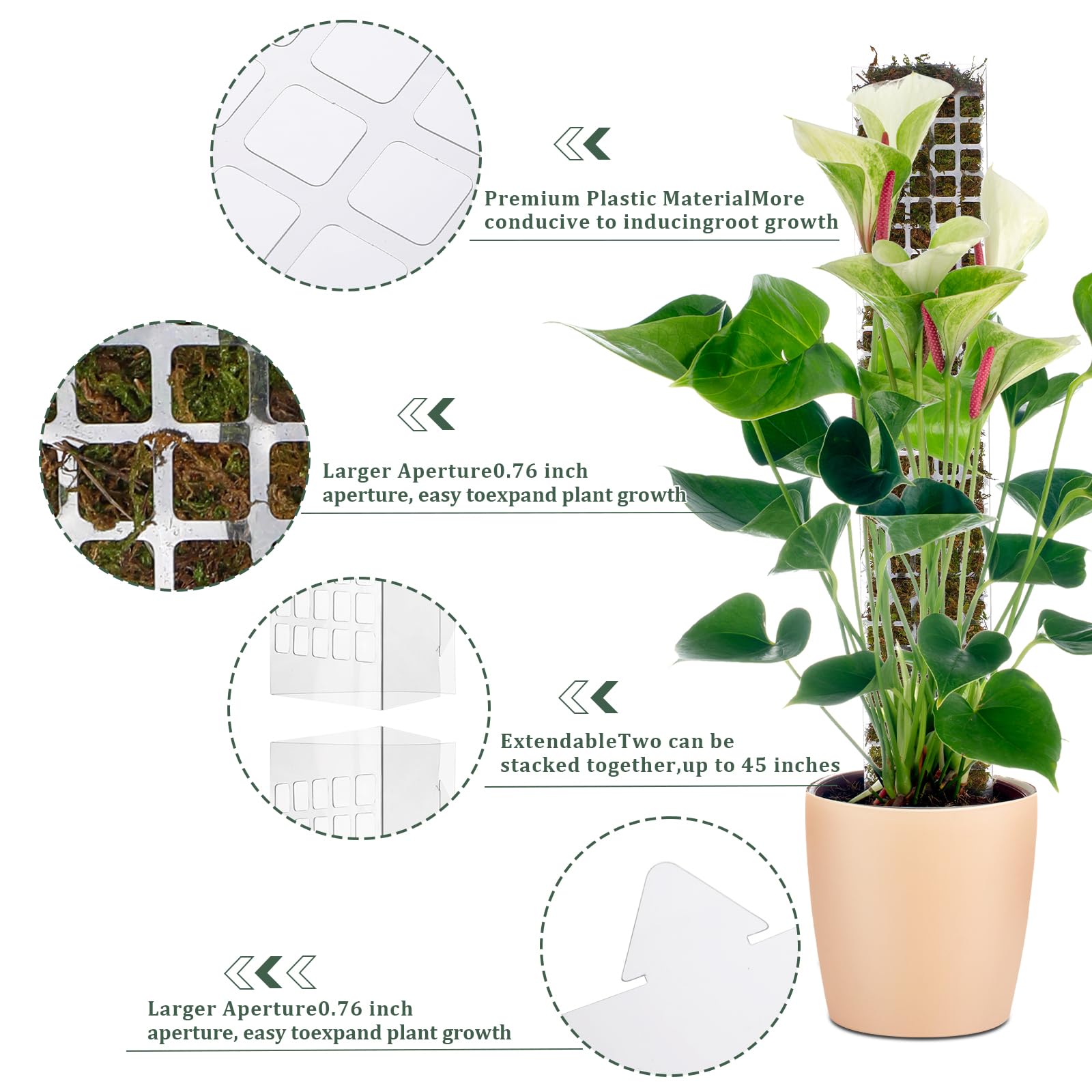 Moss Pole Plastic Plant Stand  - Sphagnum Moss Dry review and price